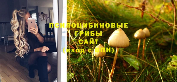 дурь Богородицк
