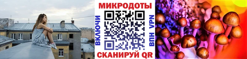 Галлюциногенные грибы прущие грибы  Белозерск 